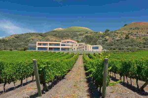 Aspiranti geometri del vino: la scuola di Venosa lancia progetti per cantine innovative in Basilicata