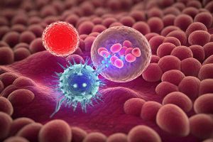 Il parassita camaleonte: come si traveste con le cellule uccise per sopravvivere