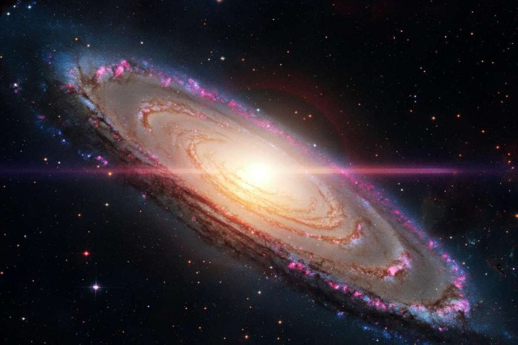 Il sorprendente risveglio di una stella super-magnetica