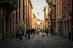 Parma: resti trovati per strada svelano un mistero animale, niente feto