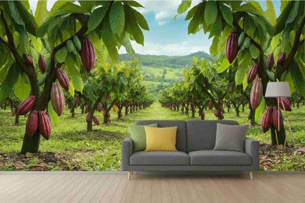 R.Illy: il prezzo del cacao quintuplicato potrebbe finalmente scendere