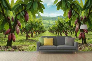 R.Illy: il prezzo del cacao quintuplicato potrebbe finalmente scendere