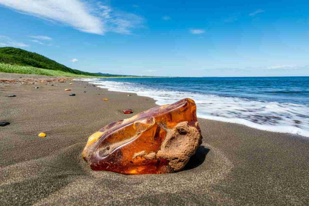 Ritrovamenti nell’ambra svelano antichi tsunami di 115 milioni di anni fa