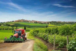 Agritech e sostenibilità: come l'innovazione sta plasmando il futuro dell'agricoltura