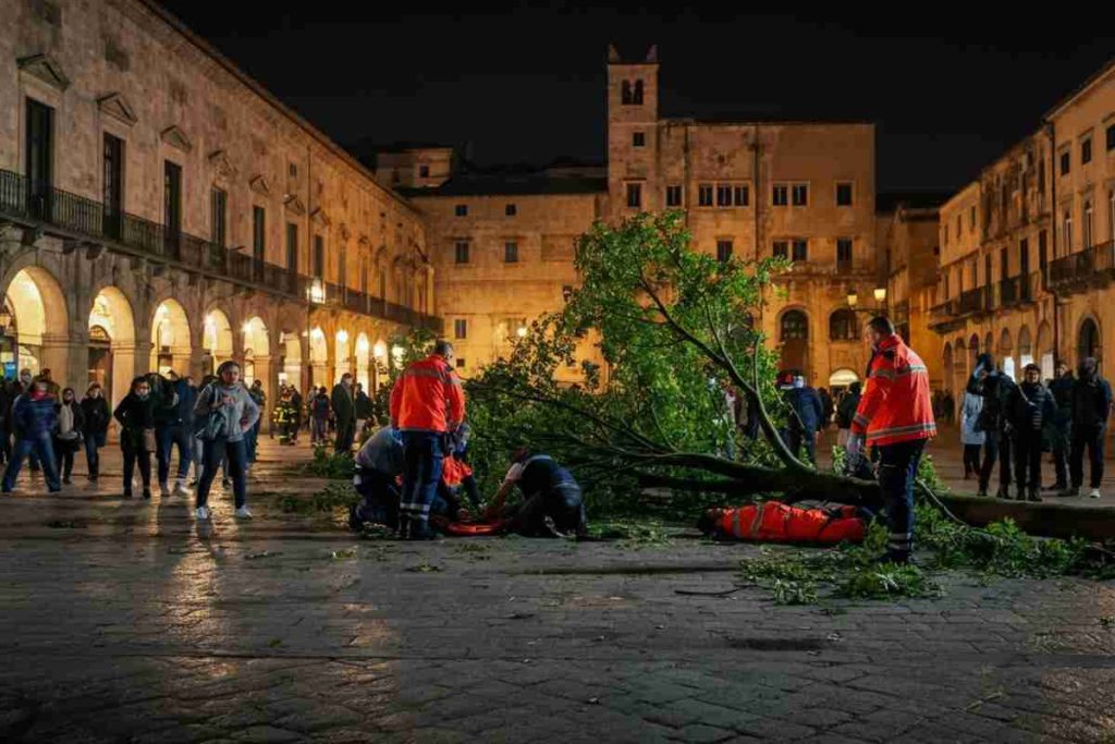 Albero caduto al terminal auto di Venezia: dieci feriti in un incidente inaspettato
