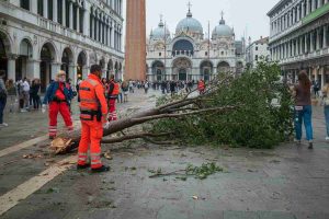 Albero crolla su turisti a Venezia: grave una donna, vigili bloccano selfie dei curiosi