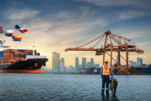 Cina: la necessità di evitare accordi commerciali svantaggiosi con gli Usa