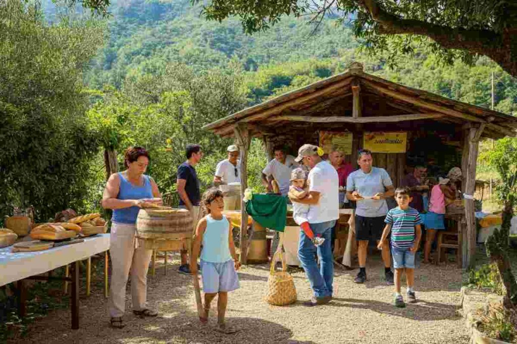 Fattorie aperte in Sila: un viaggio tra DOP e bellezze naturali nella ventesima edizione