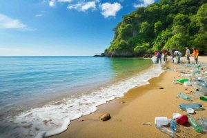 Giornata dell'Ambiente: uniti contro l'inquinamento da plastica