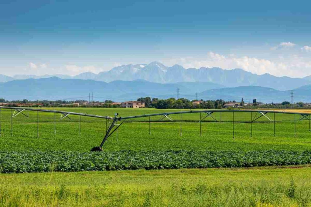 L'irrigazione intensiva: un alleato insospettabile per le falde acquifere della Pianura Padana
