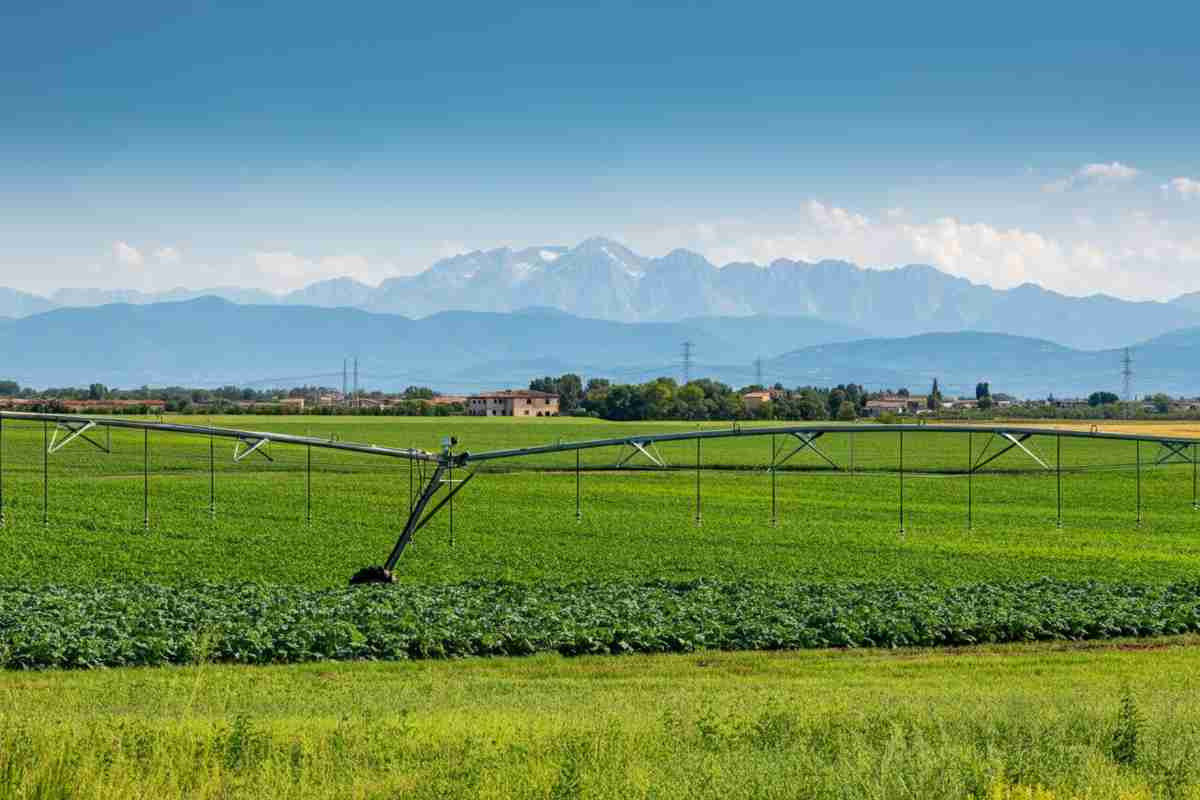L'irrigazione intensiva: un alleato insospettabile per le falde acquifere della Pianura Padana