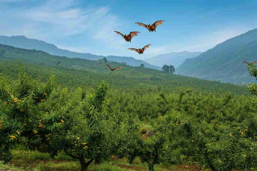 Nuove scoperte: 20 virus mai visti prima nei pipistrelli cinesi