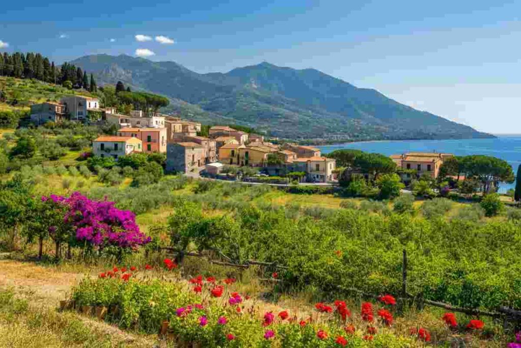 Scopri il Cilento: un viaggio tra enogastronomia, natura e tradizione
