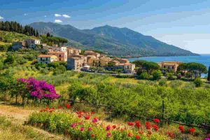 Scopri il Cilento: un viaggio tra enogastronomia, natura e tradizione