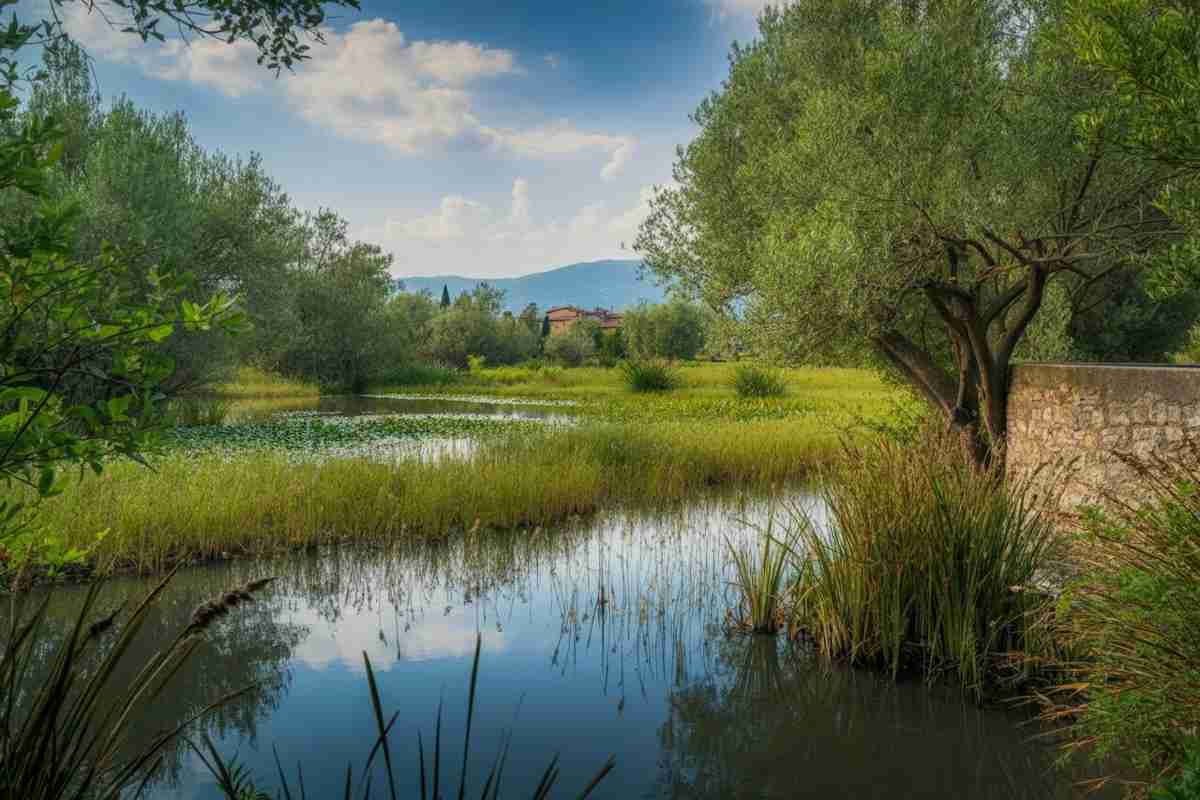 Allerta West Nile Virus a Latina e nel Lazio: l'importanza della prevenzione contro le zanzare