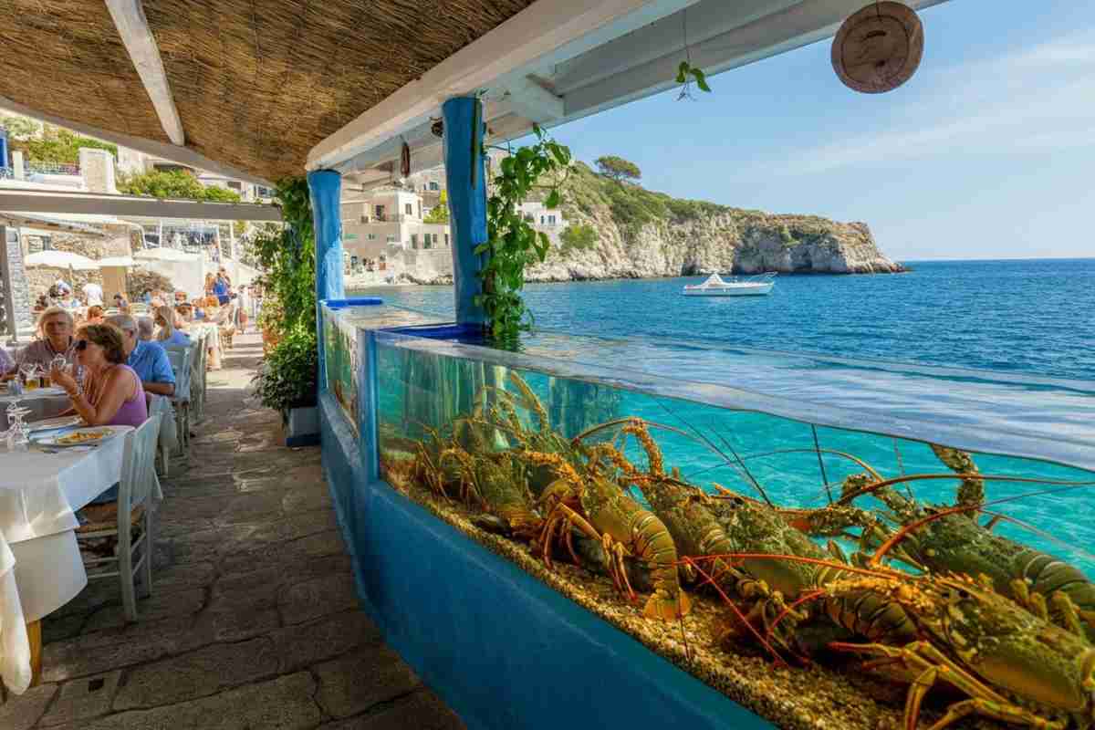 Furto dell'aragosta e aggressione: il ristoratore di Ponza dopo lo scontrino da 923 euro