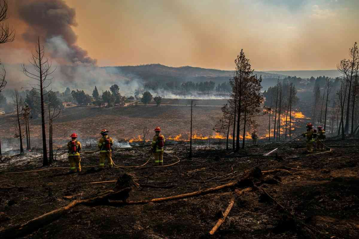 Serbia in fiamme: oltre 1.400 incendi devastano il paese in dieci giorni