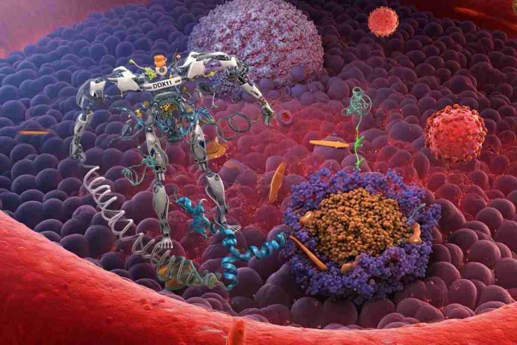 Una proteina multifunzionale: la chiave contro la neurodegenerazione