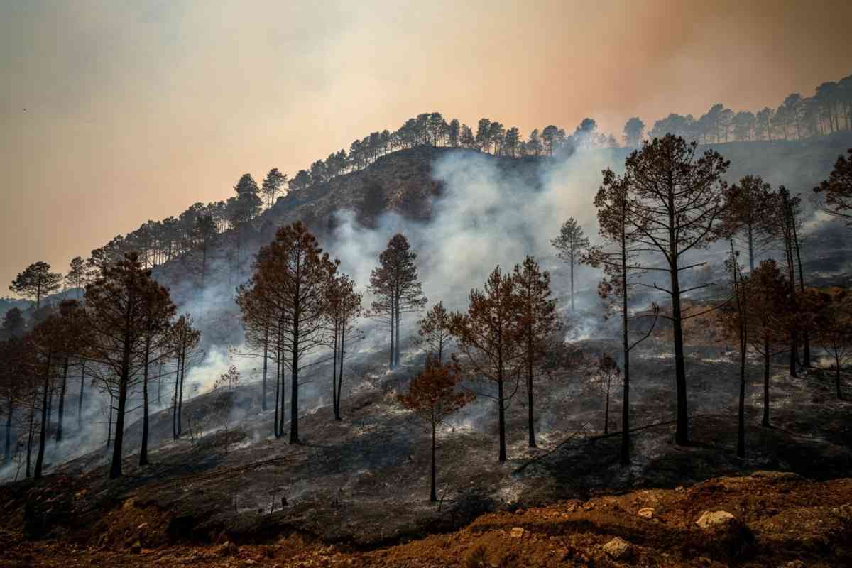 Albania in fiamme: un morto e una crisi che preoccupa