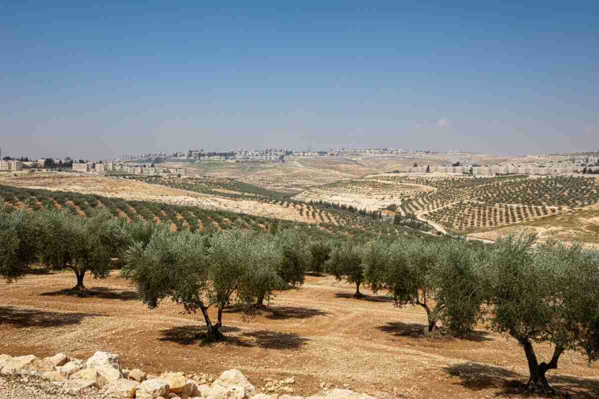 Berlino chiede a Israele di fermare la costruzione di insediamenti