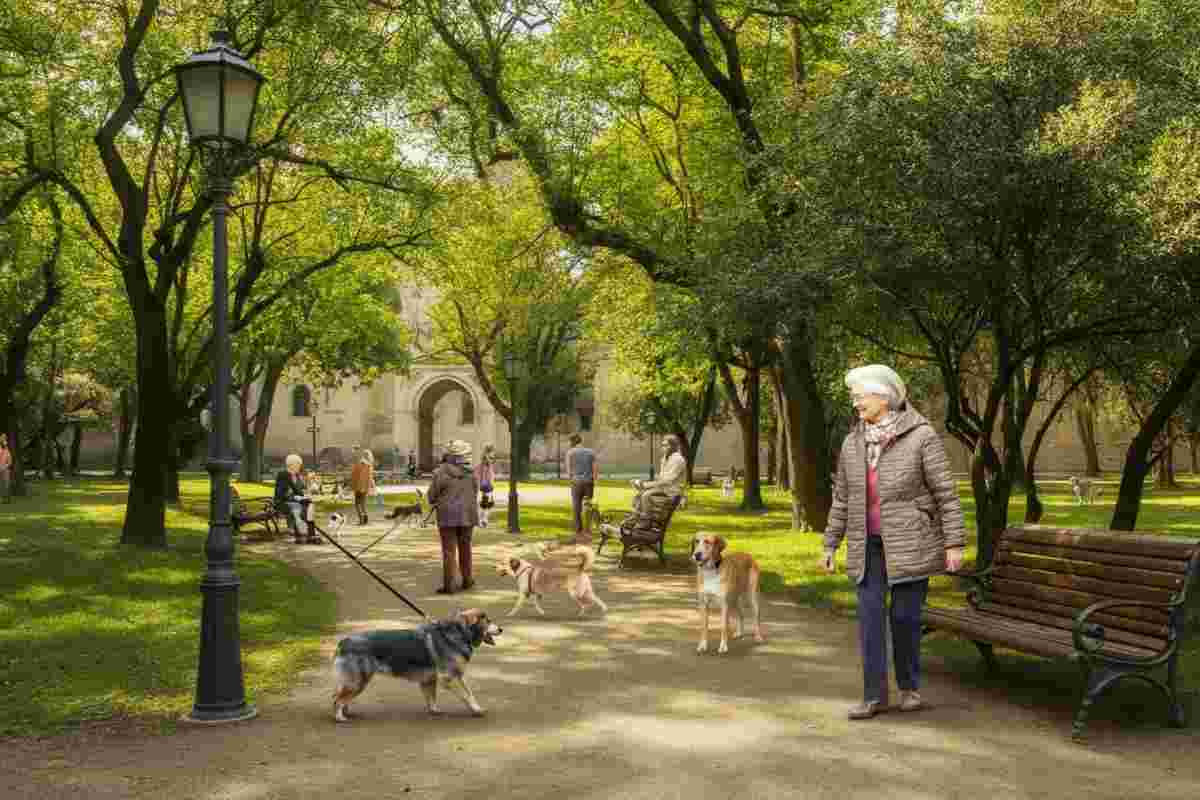Cane provoca caduta di un'anziana al parco: padrona costretta a risarcire 27 mila euro