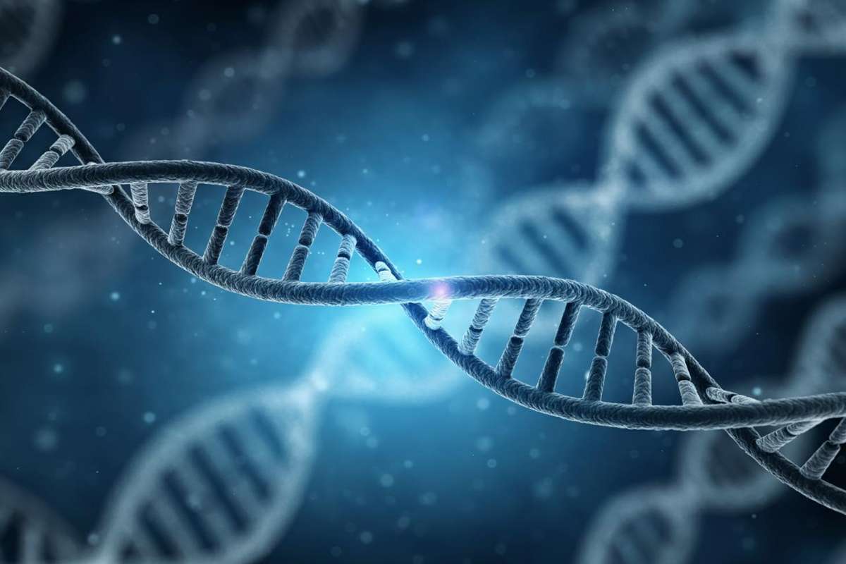 Correzione del Dna: la chiave per sviluppare farmaci innovativi