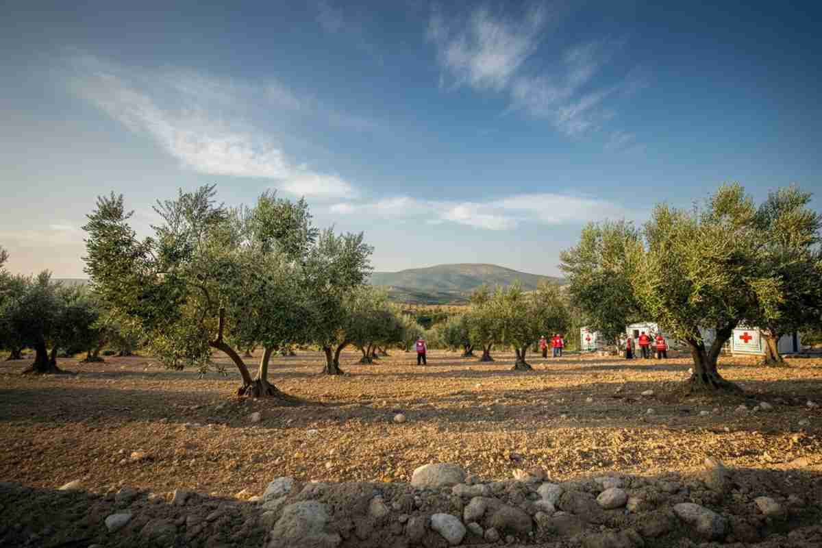 Hamas accetta una nuova opportunità di pace: Al Jazeera svela i dettagli del cessate il fuoco