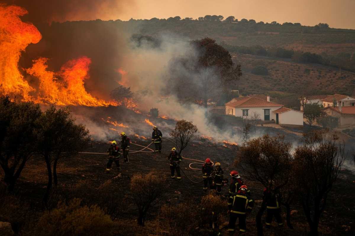Incendi in Portogallo: 26 arresti e un'estate di fuoco