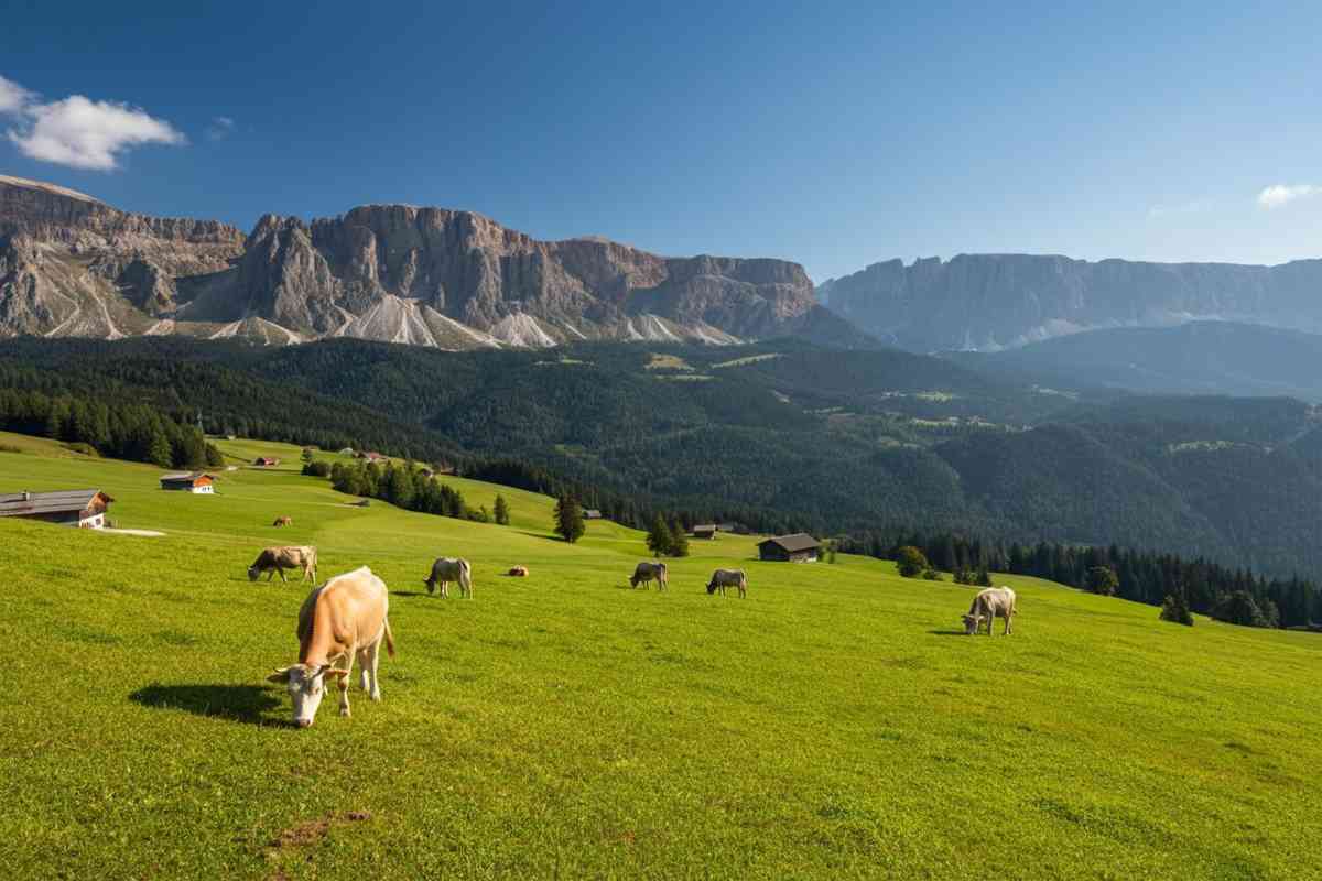 Lupo abbattuto in Alto Adige: la prima esecuzione legale dopo 50 anni e il dibattito sull'allevamento