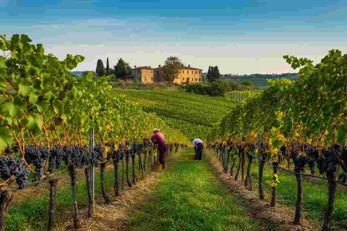 Martellozzo: Il 15% di dazi non fermerà gli americani dall'amare il nostro prosecco