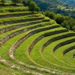 Riscoprire il Medioevo: strategie agricole innovative per affrontare il cambiamento climatico