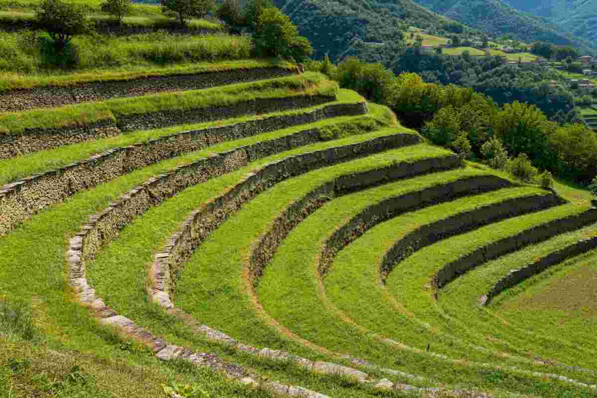Riscoprire il Medioevo: strategie agricole innovative per affrontare il cambiamento climatico