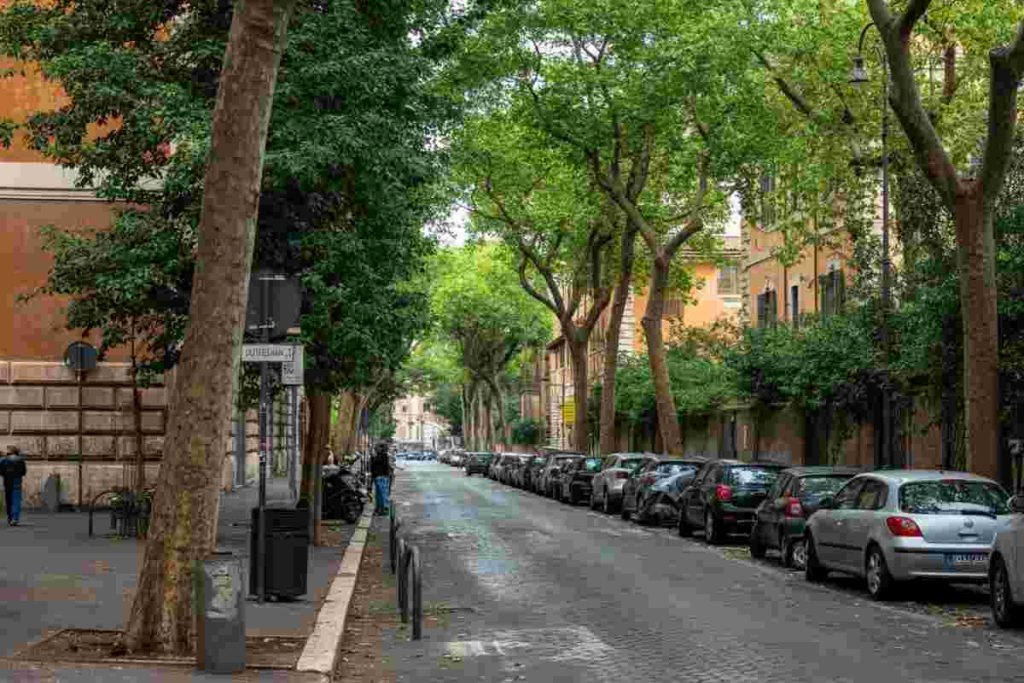 Roma in crisi verde: 614 alberi caduti in 10 mesi e 23 indagati