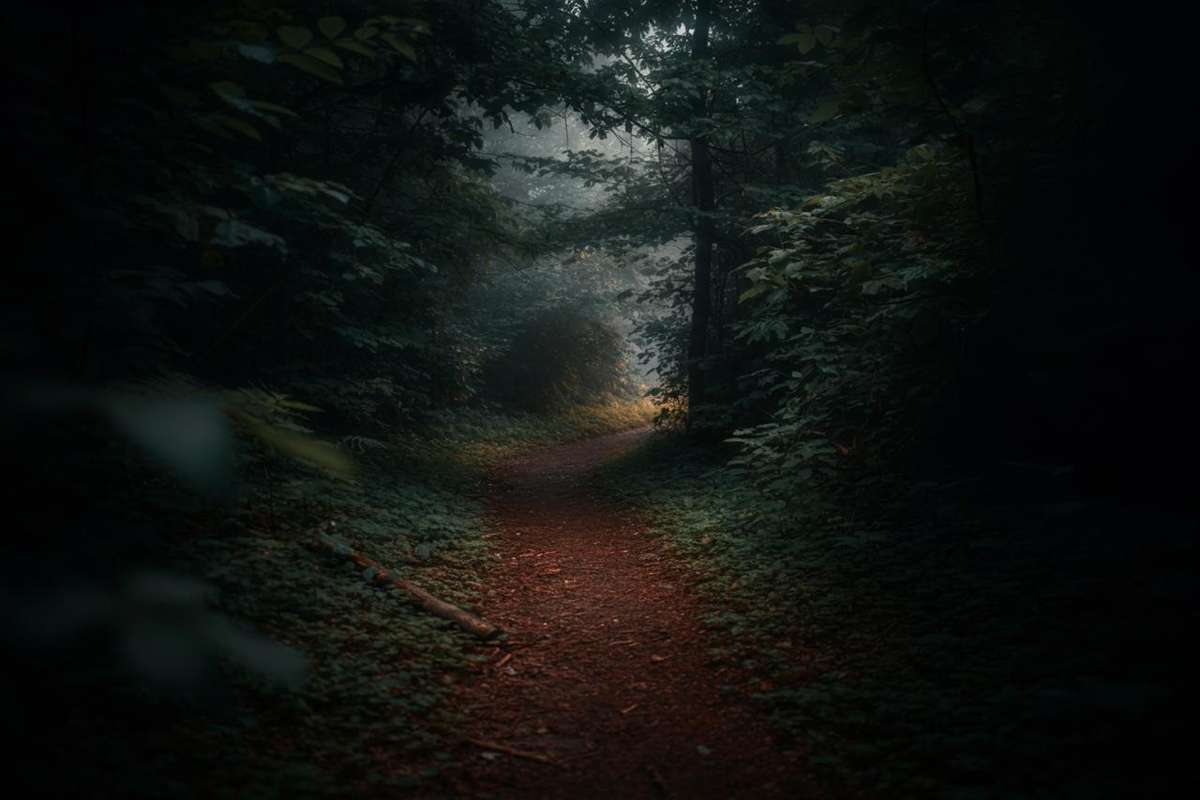 Scoperta macabra nel bosco: resti umani nel Frusinate avviano indagini shock