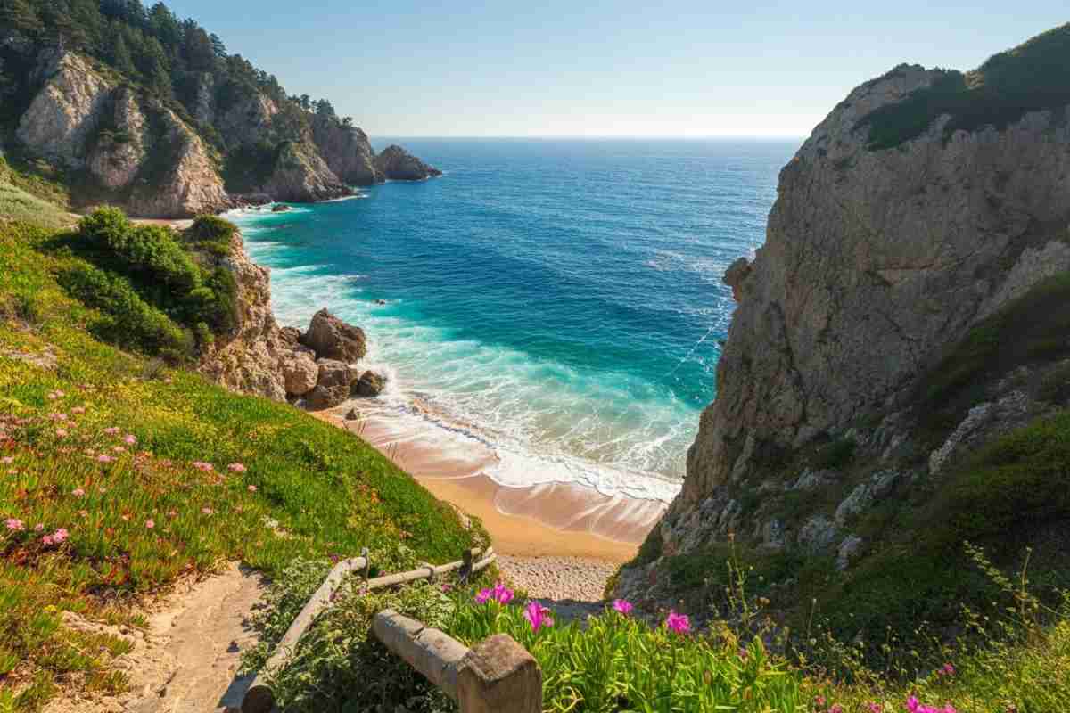 Tragedia in vacanza a Sabaudia: 67enne muore per puntura di calabrone, organi salvati per donazione