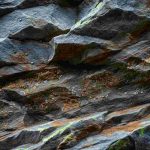 Fossili delle Alpi: un viaggio attraverso le trasformazioni geologiche