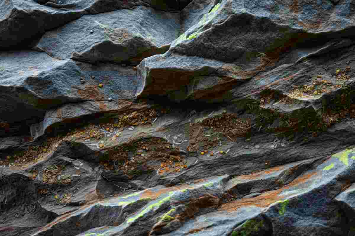 Fossili delle Alpi: un viaggio attraverso le trasformazioni geologiche