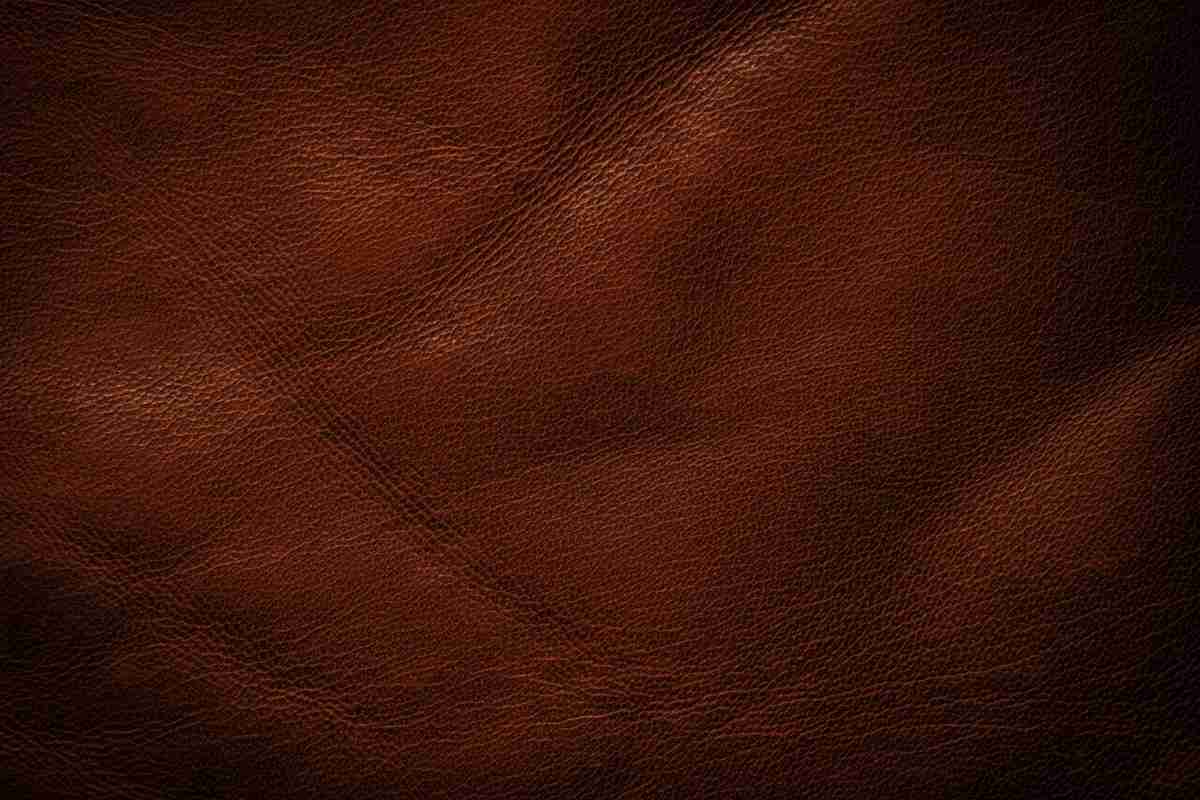 Emerald Fennell reinterpreta l'eredità di Emily Brontë