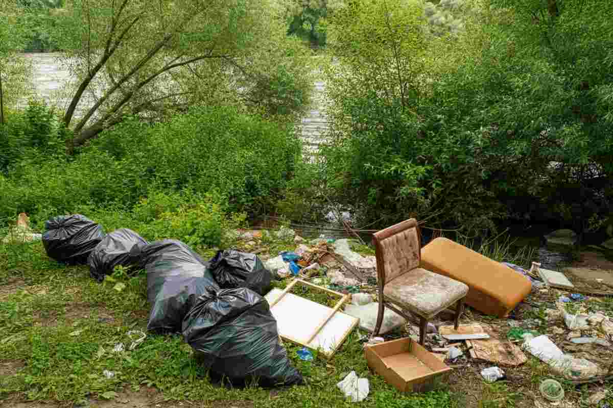 Rifiuti nel torrente e bollette dimenticate: la storia del 31enne denunciato nel Bolognese