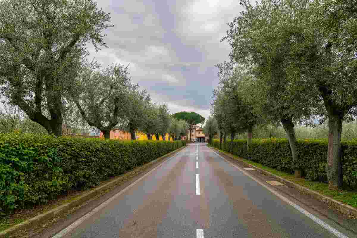 Angelika Hutter: la drammatica storia di una fuga che si trasforma in incidente a Ronco all’Adige