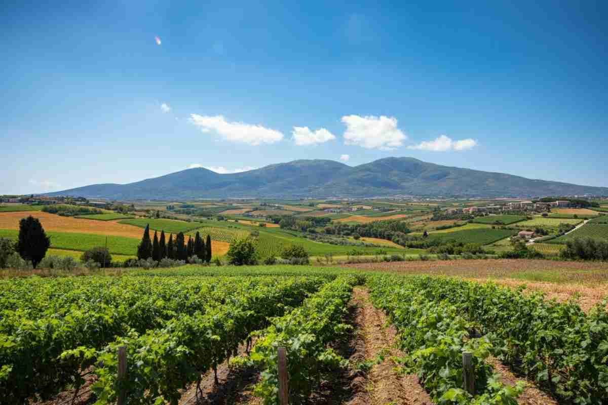 Credito d'imposta Zes: un balzo al 58% per agricoltura e pesca!