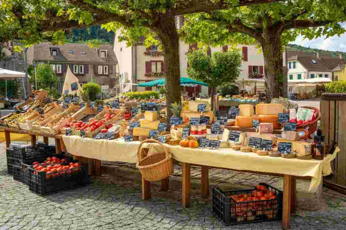 Innovazione e qualità: il nuovo memorandum di Origin Italia per il settore delle Ig in Europa