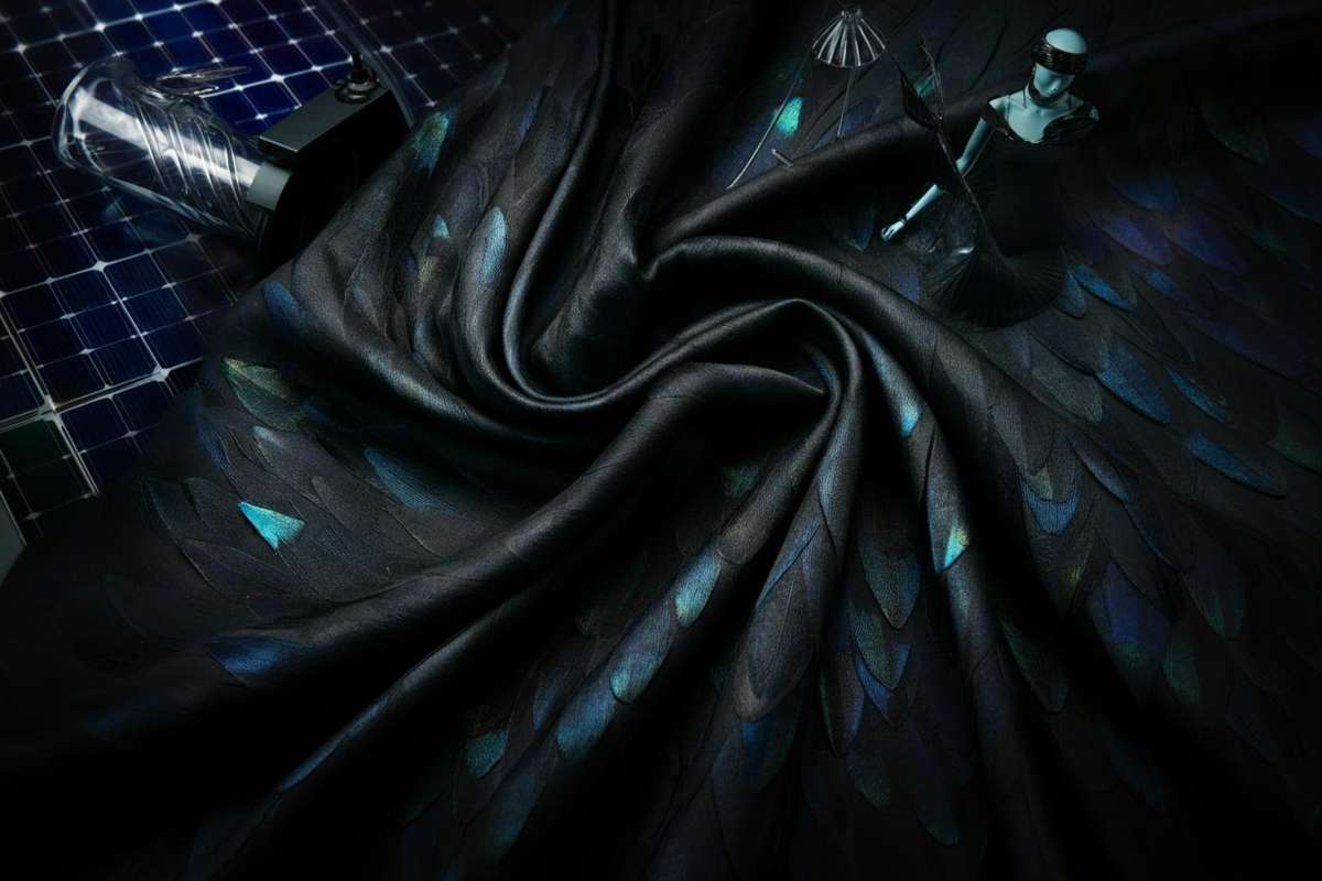 L'uccello del paradiso dà vita al tessuto più nero del pianeta