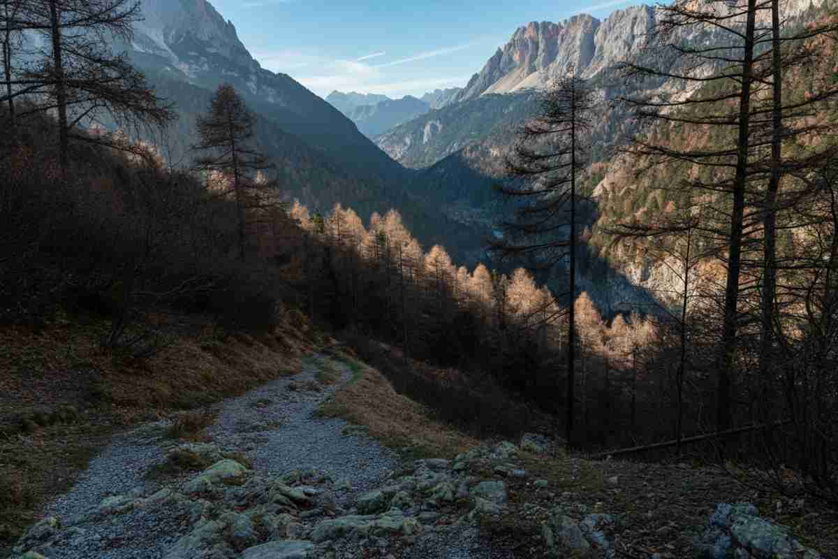 Tragedia natalizia: due uomini perdono la vita cercando vischio a 30 metri d'altezza