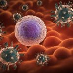 Virus dell'influenza: come ingannano le cellule umane per infiltrarsi - VIDEO
