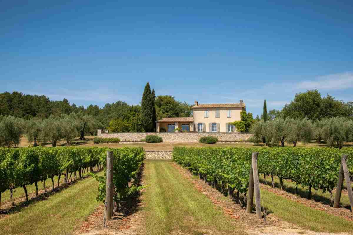 Brad Pitt vince la battaglia legale contro Angelina Jolie: rivelati 22 documenti segreti