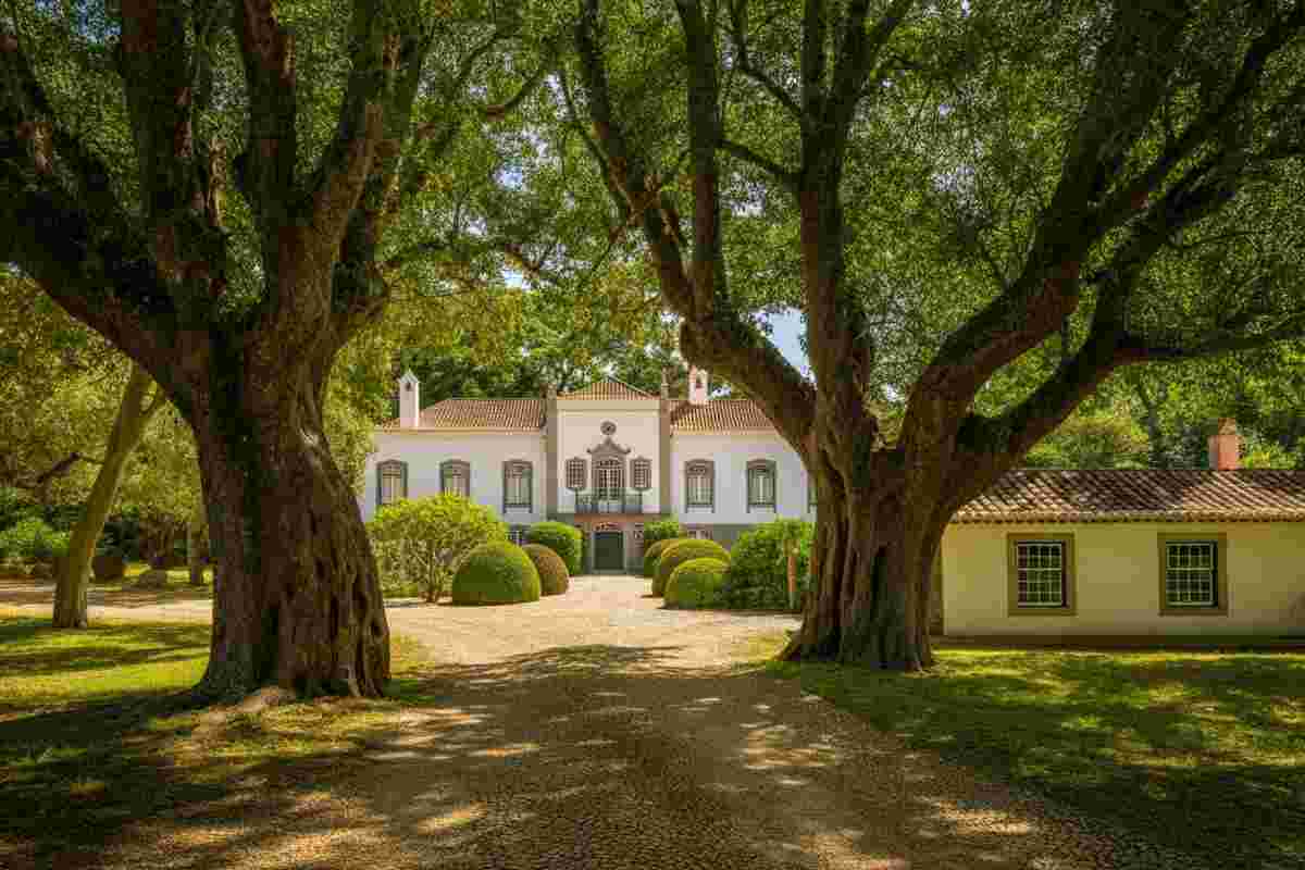 La villa portoghese: un viaggio senza confini nella storia di Avelina Prat