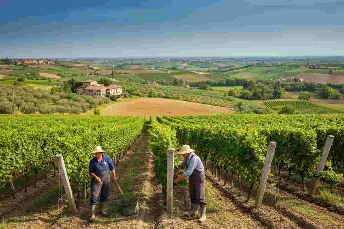 Lollobrigida: la nostra qualità conquista i mercati internazionali