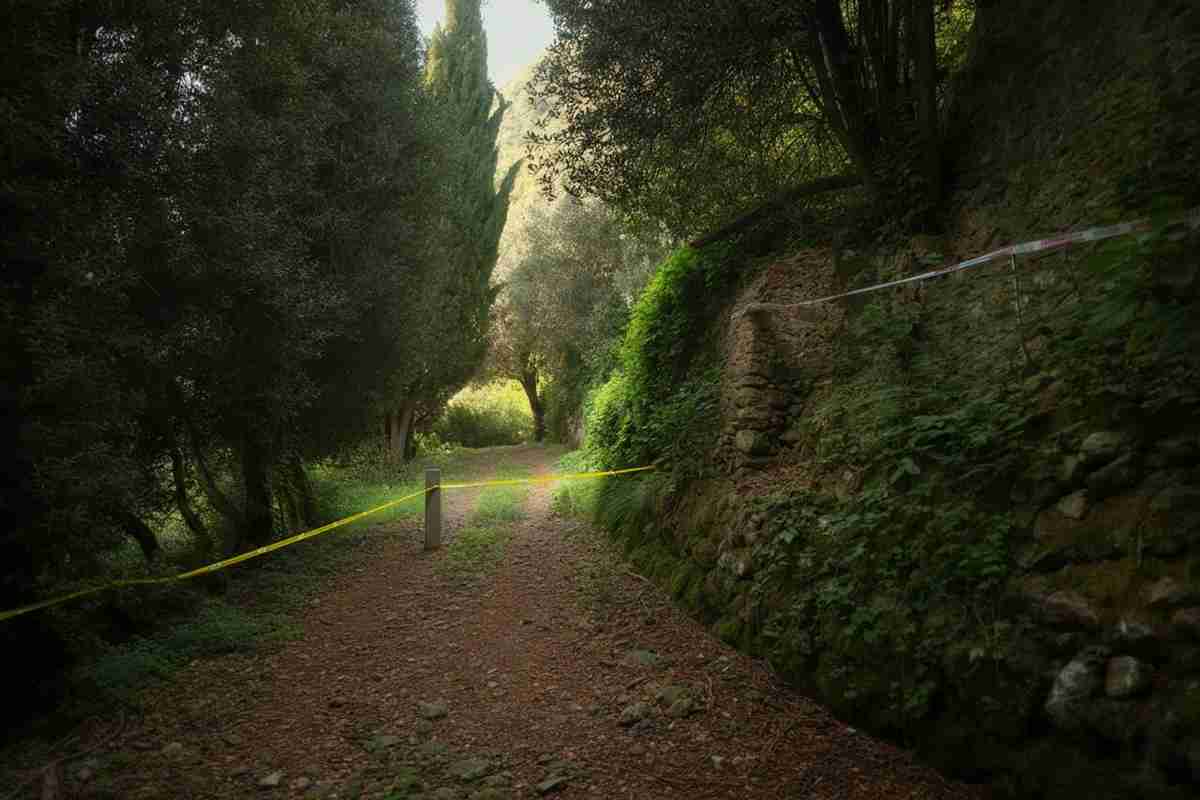 Mistero sui Nebrodi: tre cacciatori trovati morti, le ferite raccontano una storia inquietante