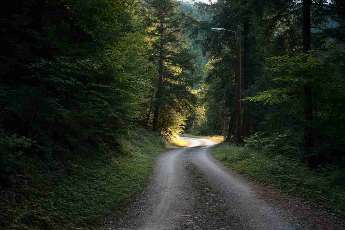 Omicidio di Franca Ludwig: compagno e amica arrestati per un piano di truffa da tre milioni di euro